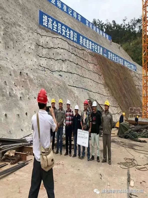 1623814879656003395.png image.png