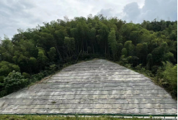 1677461229715021630.png 2.14金寨新聞稿430.png