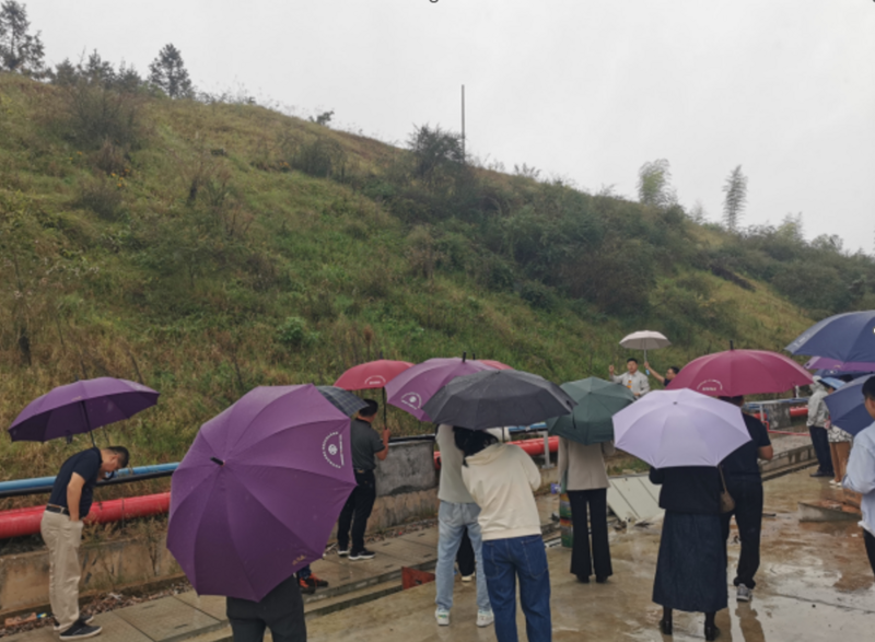 1698468704204036539.png image.png