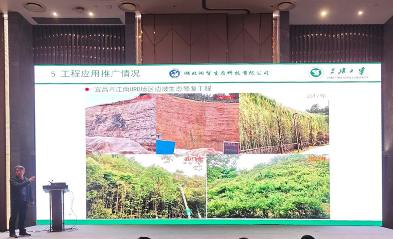 1698917517246042234.png image.png